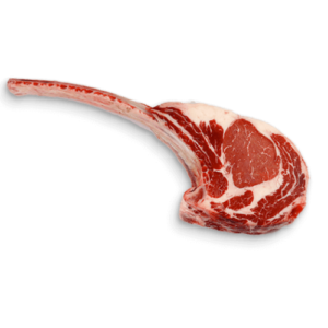 TOMAHAWK HIGH CHOICE